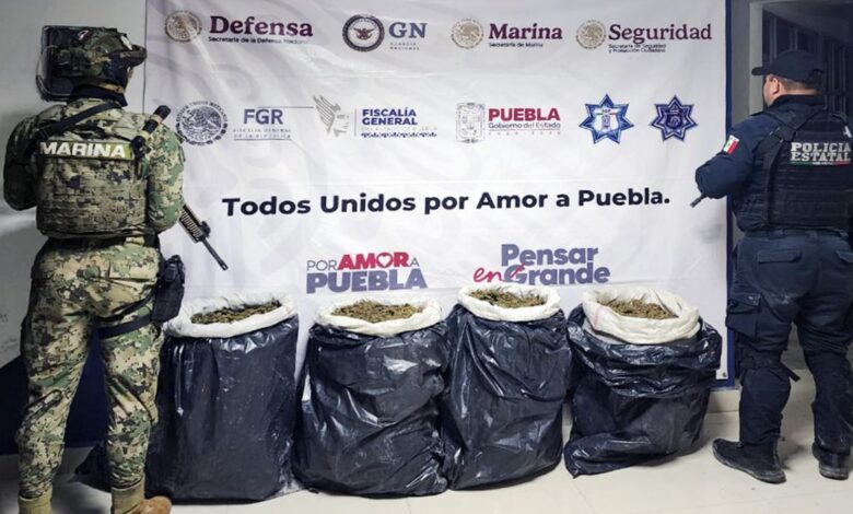 Teotlalco, Texmelucan, SSP, Policía Estatal, marihuana, crystal