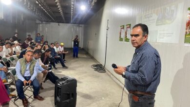 Gobierno de la Ciudad, Pepe Chedraui, gusano barrenador, ganado
