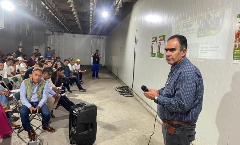 Gobierno de la Ciudad, Pepe Chedraui, gusano barrenador, ganado