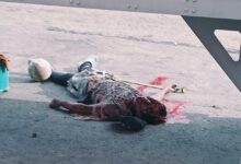 atropellado, autopista México-Puebla, tractocamión, Guardia Nacional, Santa Catarina Hueyatzacoalco, FGE, diligencias