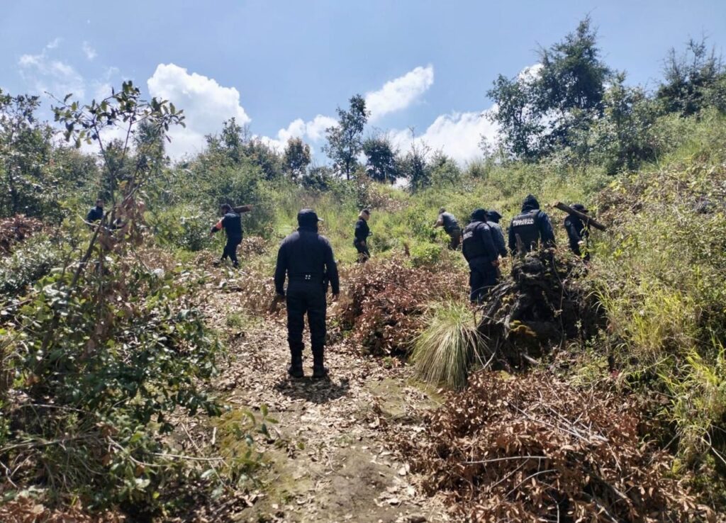 Policía Forestal de Puebla, Policía de Montaña Tlaxcala, La Malinche, hornos clandestinos de madera, tala clandestina