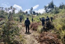 Policía Forestal de Puebla, Policía de Montaña Tlaxcala, La Malinche, hornos clandestinos de madera, tala clandestina