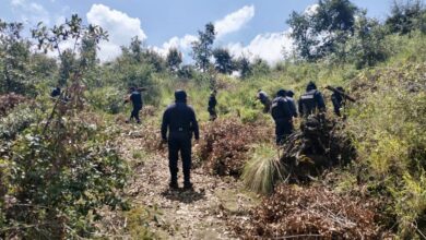 Policía Forestal de Puebla, Policía de Montaña Tlaxcala, La Malinche, hornos clandestinos de madera, tala clandestina