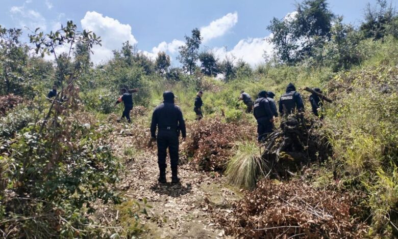 Policía Forestal de Puebla, Policía de Montaña Tlaxcala, La Malinche, hornos clandestinos de madera, tala clandestina