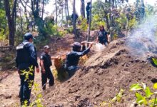 Policía Estatal Forestal, SSP, San Nicolás de los Ranchos, hornos ilegales para deshidratar madera