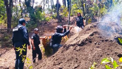 Policía Estatal Forestal, SSP, San Nicolás de los Ranchos, hornos ilegales para deshidratar madera