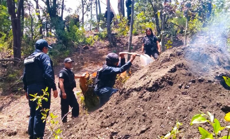 Policía Estatal Forestal, SSP, San Nicolás de los Ranchos, hornos ilegales para deshidratar madera