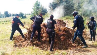 Policía Forestal, hornos clandestinos, San Miguel Canoa, SSP
