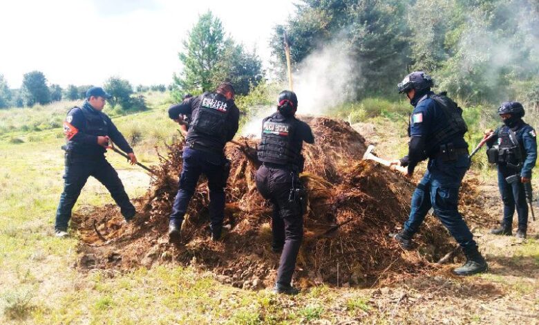Policía Forestal, hornos clandestinos, San Miguel Canoa, SSP
