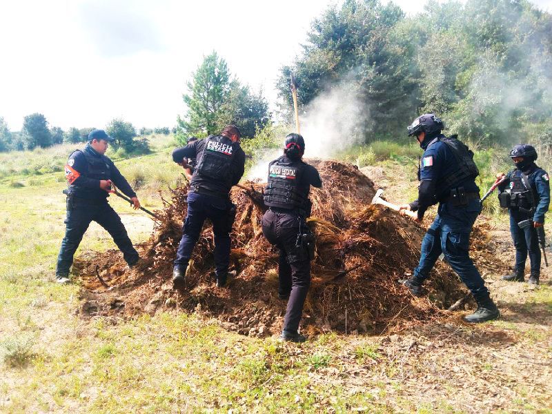 Policía Forestal, hornos clandestinos, San Miguel Canoa, SSP