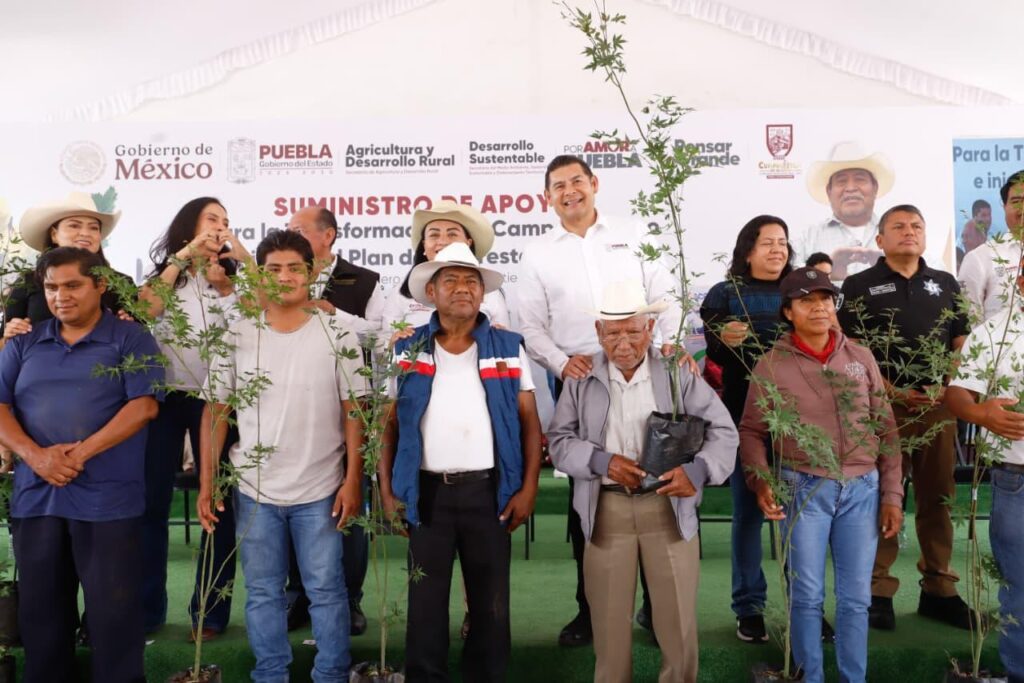 Gobierno del Estado, Puebla, medio ambiente, Plan de Reforestación 2025