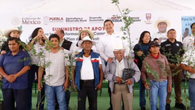 Gobierno del Estado, Puebla, medio ambiente, Plan de Reforestación 2025