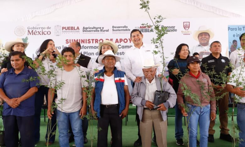 Gobierno del Estado, Puebla, medio ambiente, Plan de Reforestación 2025