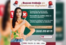 SSP, recomendaciones, ofertas de empleo falsas, plataformas digitales
