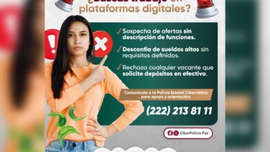 SSP, recomendaciones, ofertas de empleo falsas, plataformas digitales