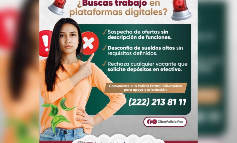 SSP, recomendaciones, ofertas de empleo falsas, plataformas digitales