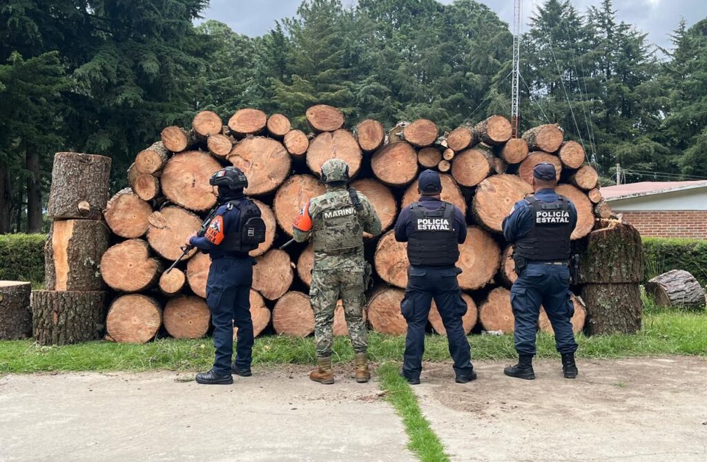 operativo, SSP, madera, Eloxochitlán, Tlaxcala, tala clandestina