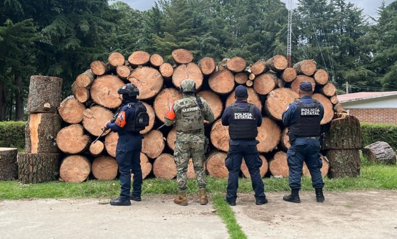 operativo, SSP, madera, Eloxochitlán, Tlaxcala, tala clandestina