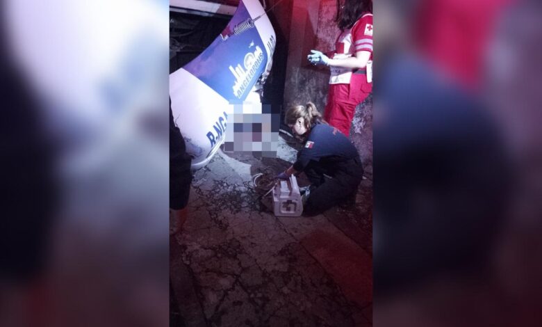 transporte público, ruta Nueva Generación, chofer detenido, homicidio culposo