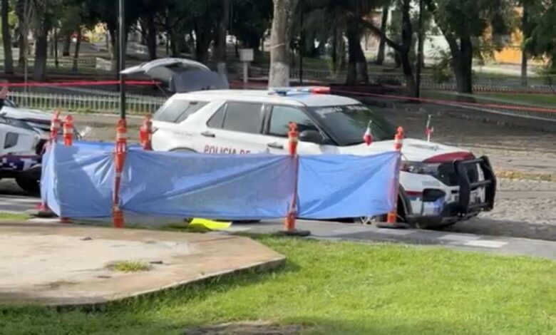 encapuchados, La Familia Michoacana, cadáver, restos humanos, Parque de Analco