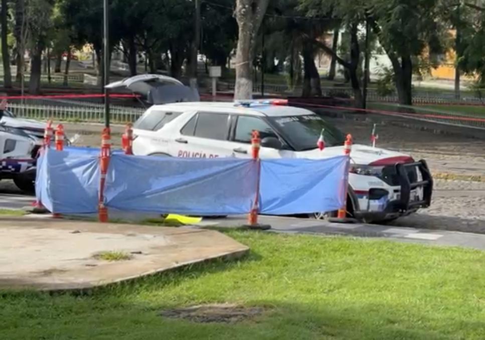 encapuchados, La Familia Michoacana, cadáver, restos humanos, Parque de Analco