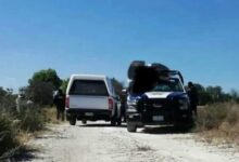 ejecutado, Tepeaca, Xochiltenango, FGE, investigaciones