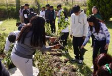 San Andrés Cholula, Lupita Cuautle, jornada de reforestación, Bachillerato Elena Garro