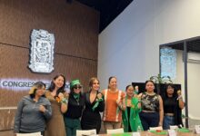Día de la Acción Global por el Acceso al Aborto Legal y Seguro, Congreso del Estado, diputada Nayeli Salvatori, Ley Estatal de Salud