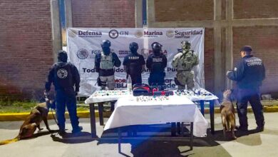 operativo, cateo, revisión, SSP, Cereso de San Miguel