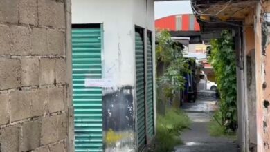 cateo, FGE, Ejército, SSP, Mercado Morelos, ejecuciones, La Familia Michoacana