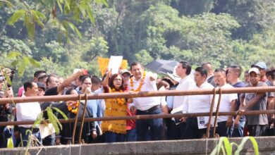 Gobierno de Puebla, Gobierno de México, puente Zihuateutla-Tlaola, Alejandro Armenta, contingencia