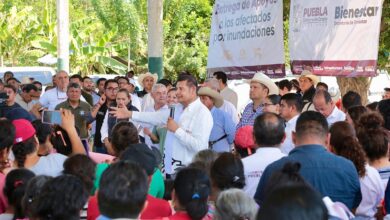 Gobierno de Puebla, Alejandro Armenta, contingencia, recuperación del campo