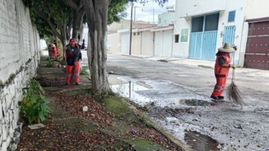 Gobierno de la Ciudad, trabajos de limpieza, Día de Muertos