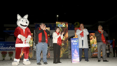 BUAP, Lilia Cedillo, árbol de Navidad, CU2