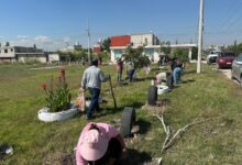 Raíces del Futuro, reforestación, Gobierno de la Ciudad, Pepe Chedraui
