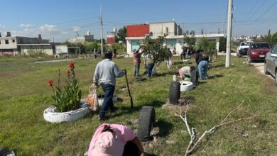 Raíces del Futuro, reforestación, Gobierno de la Ciudad, Pepe Chedraui