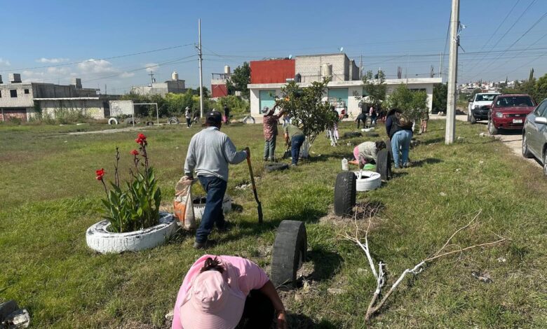 Raíces del Futuro, reforestación, Gobierno de la Ciudad, Pepe Chedraui