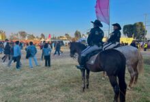 San Andrés Cholula, Lupita Cuautle, saldo blanco, Festival Tecate Comuna