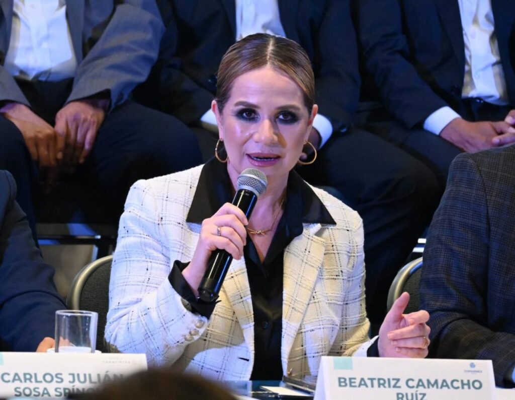 Coparmex Puebla, Beatriz Camacho, seguridad en carreteras