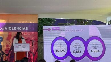 San Andrés Cholula, Lupita Cuautle, Casa Violeta, Puerta Violeta, 25N