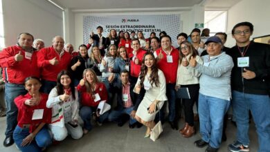 PRI, Lorenzo Rivera Nava, dirigencia, Consejo Político Nacional,