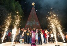Gobierno de la Ciudad, encendido del árbol de Navidad, iluminación navideña, Pepe Chedraui