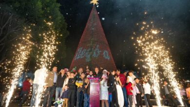 Gobierno de la Ciudad, encendido del árbol de Navidad, iluminación navideña, Pepe Chedraui