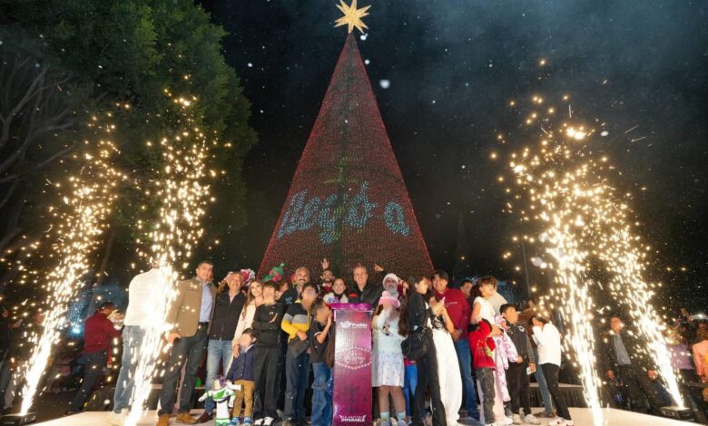 Gobierno de la Ciudad, encendido del árbol de Navidad, iluminación navideña, Pepe Chedraui