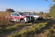 Nopalucan de la Granja, Tlaxcala, Puebla, cadáveres desmembrados, FGE Puebla