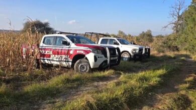 Nopalucan de la Granja, Tlaxcala, Puebla, cadáveres desmembrados, FGE Puebla