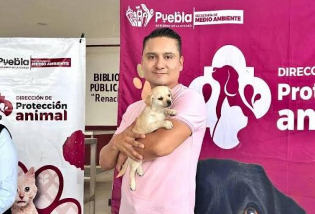 Gobierno de la Ciudad, bienestar animal, Pepe Chedraui