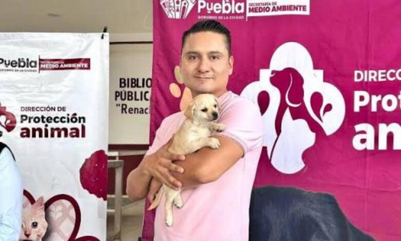 Gobierno de la Ciudad, bienestar animal, Pepe Chedraui