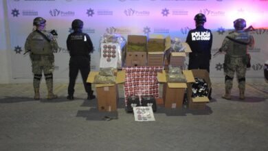 SSC, decomiso, marihuana, La Paz, FGR, investigaciones