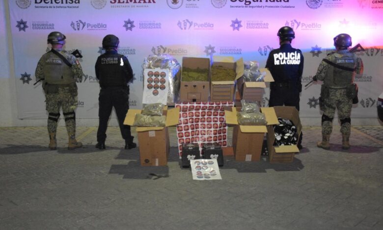 SSC, decomiso, marihuana, La Paz, FGR, investigaciones